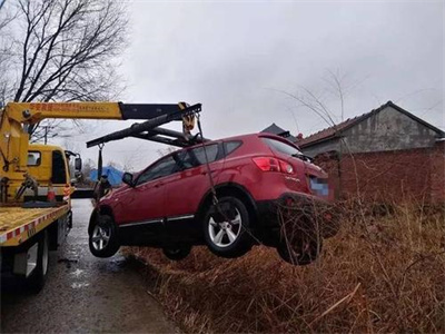 福建楚雄道路救援